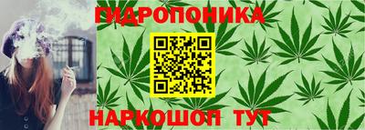 mix Лесосибирск