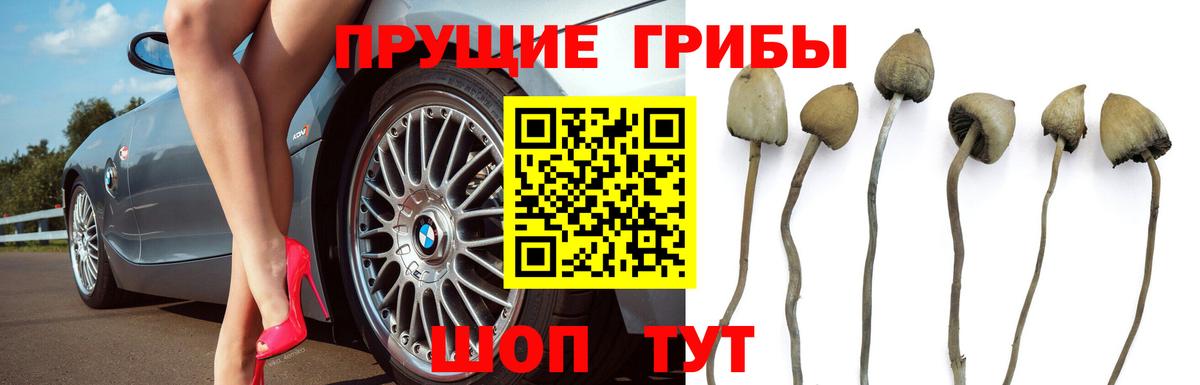 Галлюциногенные грибы прущие грибы  Псилоцибиновые грибы Magic Shrooms  Чебаркуль  Вход с VPN 